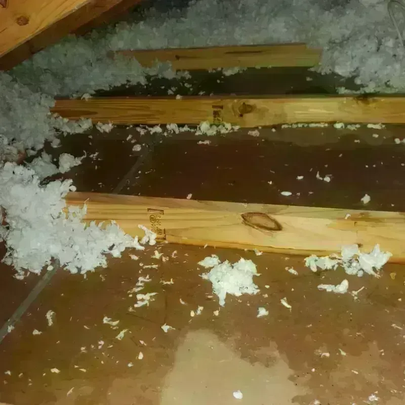 Attic Water Damage in Heard County, GA