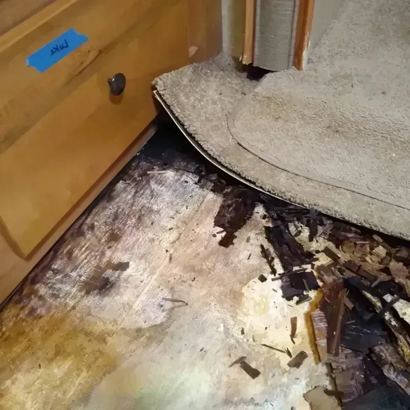 Wood Floor Water Damage in Heard County, GA